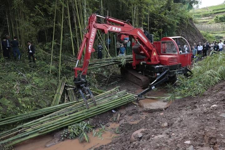 利用机械化手段采伐竹材近日,雨城区竹材采伐现场会在多营镇葫芦村